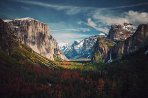 Yosemite Park Painting Wallpaper