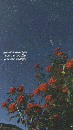 You Are Beautiful Red Roses Wallpaper