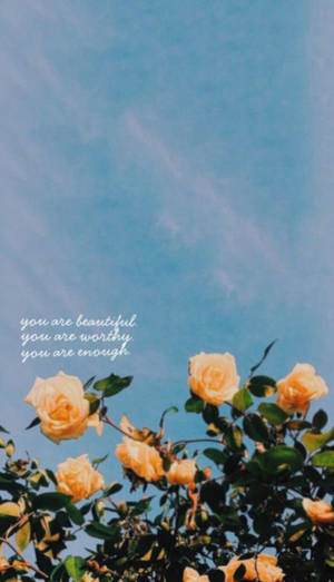 You Are Beautiful Yellow Roses Wallpaper