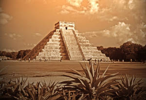 Yucatan Mayan Temple Sepia Wallpaper