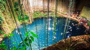 Yucatan Sinkhole Many People Wallpaper