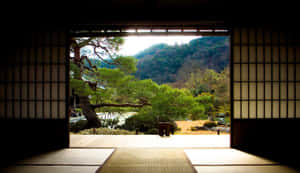 Zen Desktop Indoor To Outdoor View Wallpaper
