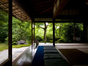 Zen Desktop Outside Patio Wallpaper