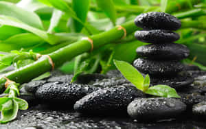 Zen Desktop Stone Stack Bamboo Shoots Wallpaper