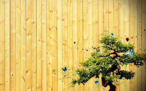 Zen Garden Bonsai Tree Wallpaper