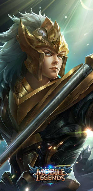 Zilong Elite Warrior Skin Wallpaper