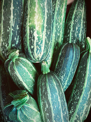 Zucchini Marrow Tiger Variety Wallpaper